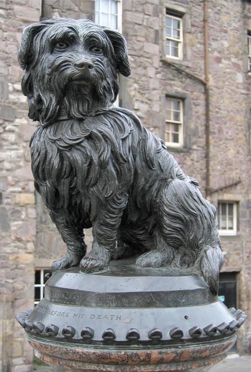 the statue of Greyfriars Bobby in Edinburgh